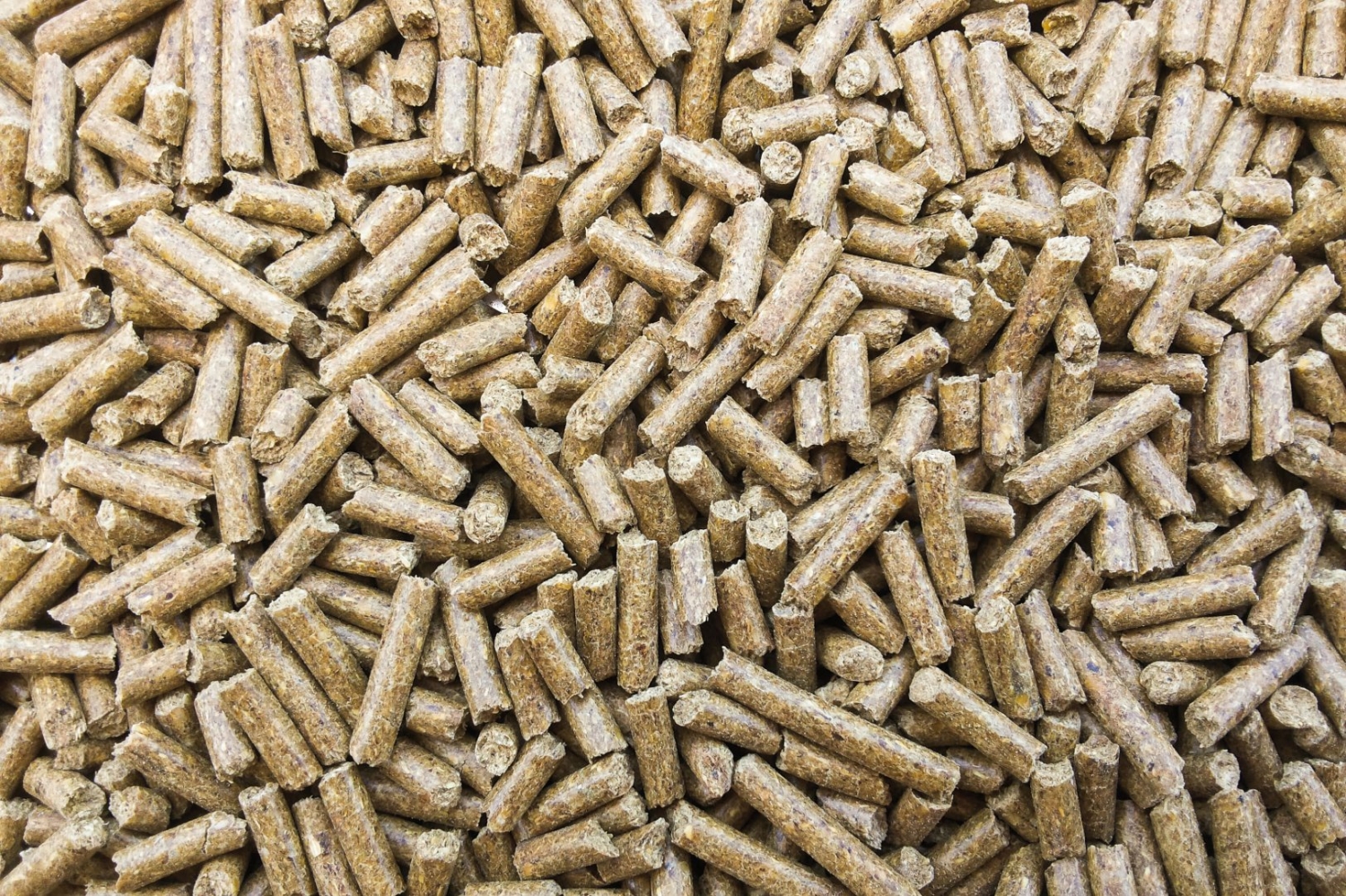 Facili da usare e pulite